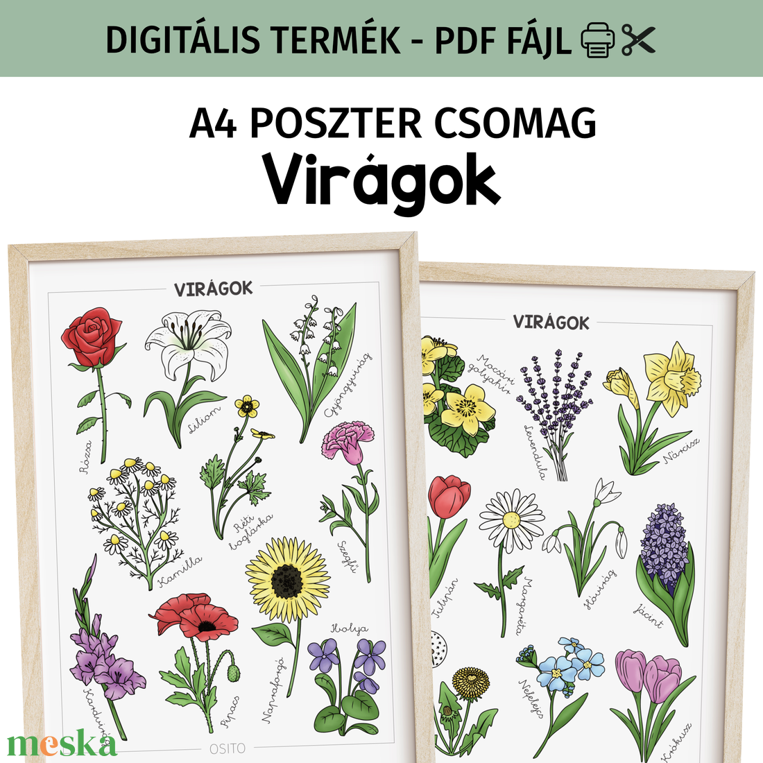 Virágok poszter csomag - PDF - otthon & életmód - dekoráció - kép & falikép - poszter - Meska.hu