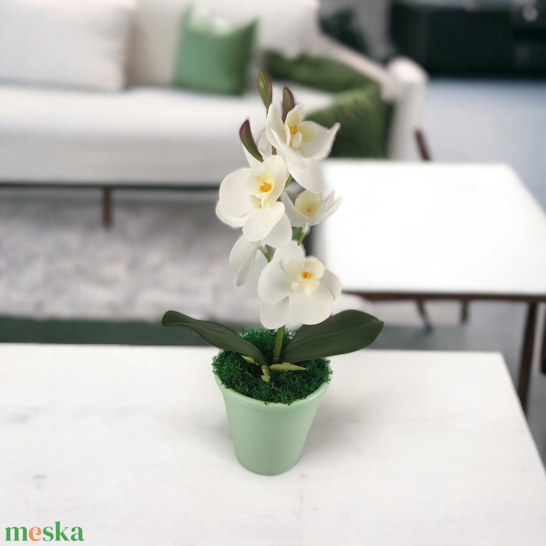 Fehér mini orchidea pasztellszínű agyagkaspóban ORM109FH - otthon & életmód - dekoráció - virágdísz és tartó - csokor & virágdísz - Meska.hu