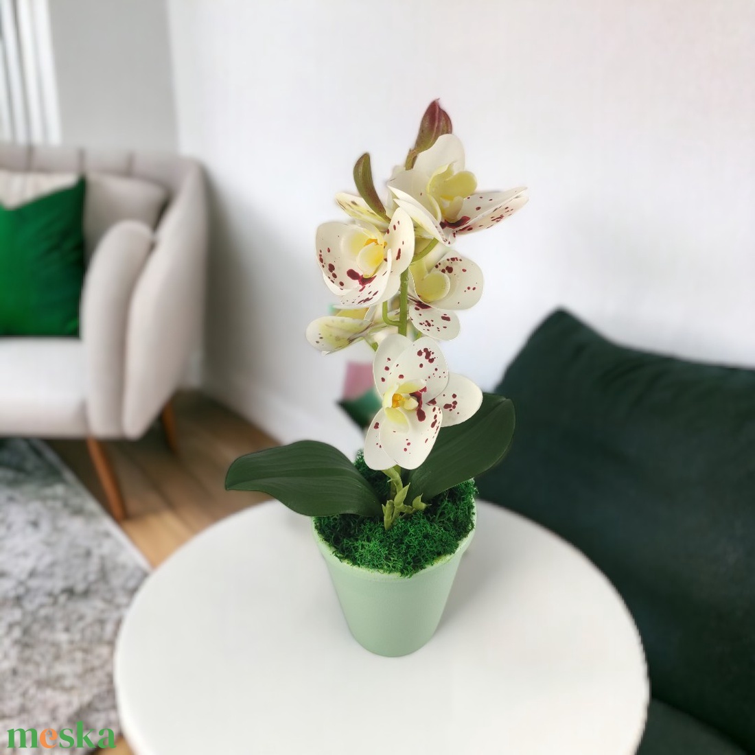 Fehér pöttyös mini orchidea pasztellszínű agyagkaspóban ORM110FH - otthon & életmód - dekoráció - virágdísz és tartó - csokor & virágdísz - Meska.hu Fehér pöttyös mini orchidea pasztellszínű agyagkaspóban ORM110FH - otthon & életmód - dekoráció - virágdísz és tartó - csokor & virágdísz - Meska.hu