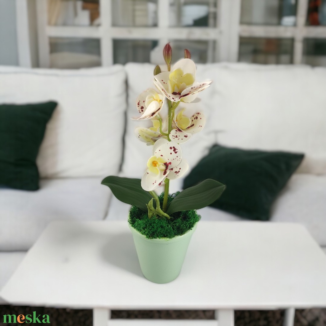 Fehér pöttyös mini orchidea pasztellszínű agyagkaspóban ORM110FH - otthon & életmód - dekoráció - virágdísz és tartó - csokor & virágdísz - Meska.hu Fehér pöttyös mini orchidea pasztellszínű agyagkaspóban ORM110FH - otthon & életmód - dekoráció - virágdísz és tartó - csokor & virágdísz - Meska.hu