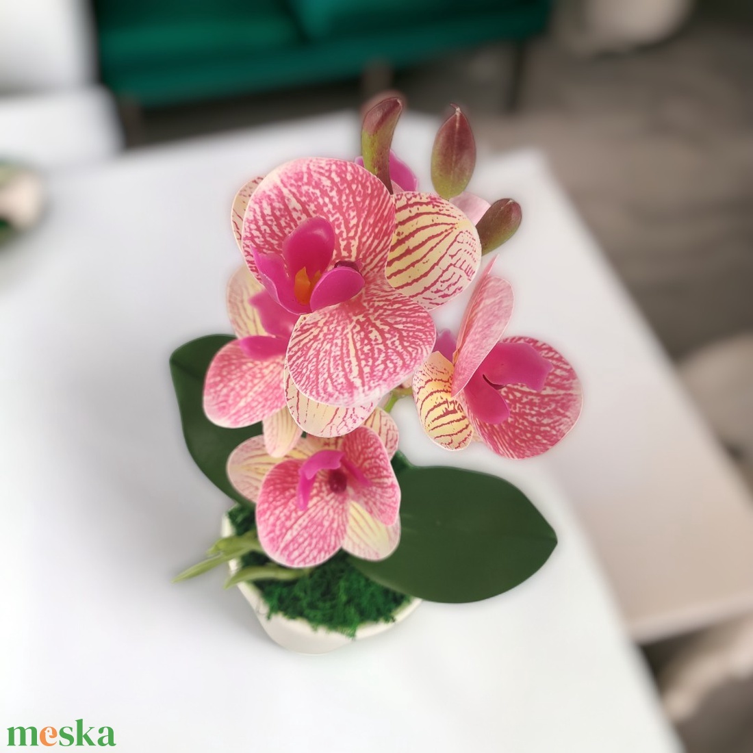 Rózsaszín cirmos mini orchidea pasztellszínű agyagkaspóban ORM111RS - otthon & életmód - dekoráció - virágdísz és tartó - csokor & virágdísz - Meska.hu Rózsaszín cirmos mini orchidea pasztellszínű agyagkaspóban ORM111RS - otthon & életmód - dekoráció - virágdísz és tartó - csokor & virágdísz - Meska.hu