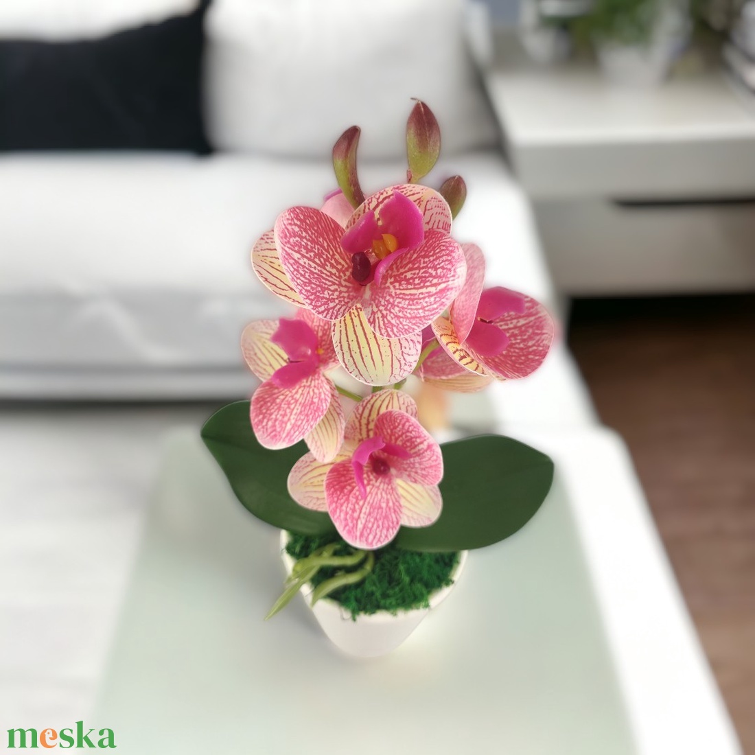 Rózsaszín cirmos mini orchidea pasztellszínű agyagkaspóban ORM111RS - otthon & életmód - dekoráció - virágdísz és tartó - csokor & virágdísz - Meska.hu Rózsaszín cirmos mini orchidea pasztellszínű agyagkaspóban ORM111RS - otthon & életmód - dekoráció - virágdísz és tartó - csokor & virágdísz - Meska.hu