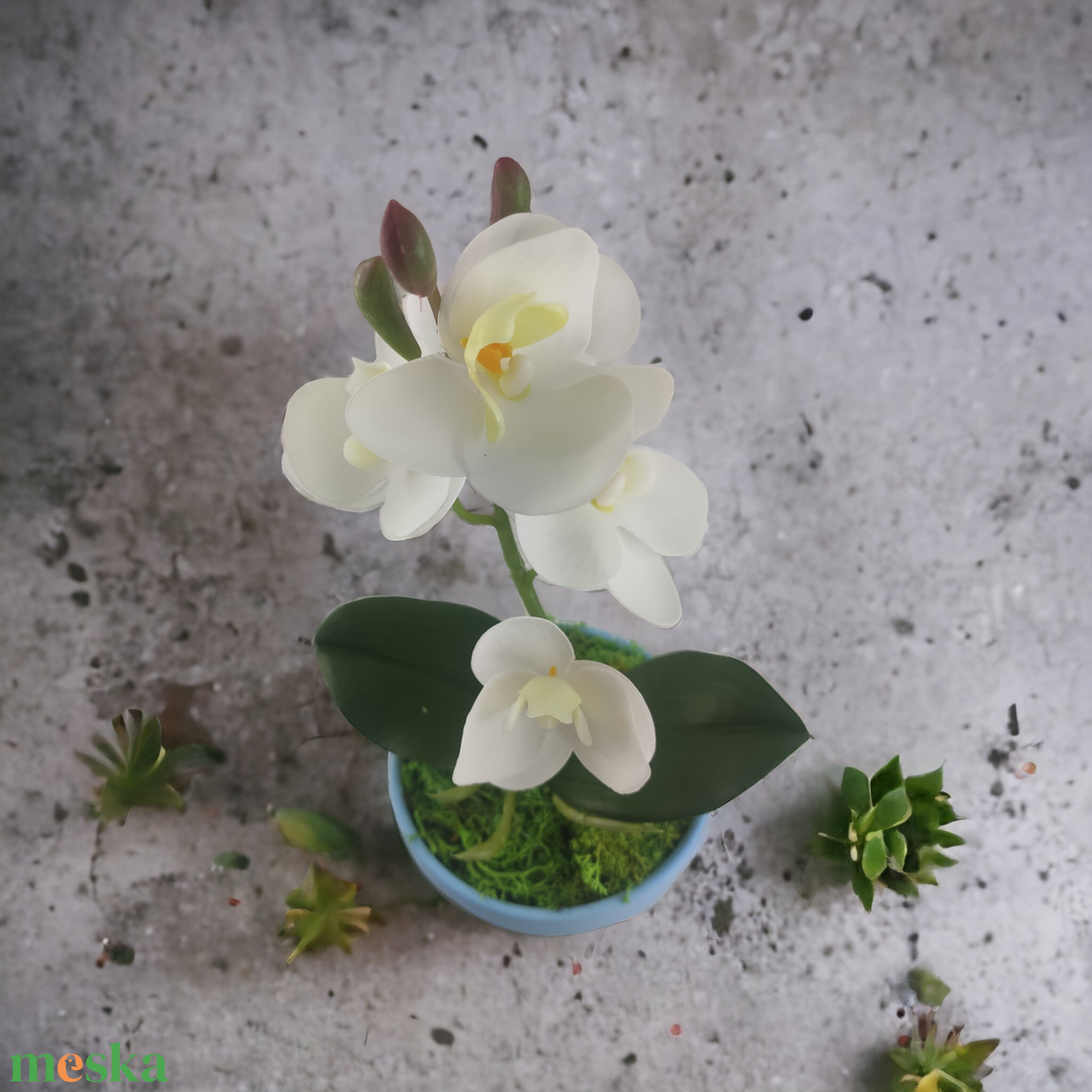 Fehér mini orchidea pasztellszínű agyagkaspóban ORM104FH - otthon & életmód - dekoráció - virágdísz és tartó - csokor & virágdísz - Meska.hu Fehér mini orchidea pasztellszínű agyagkaspóban ORM104FH - otthon & életmód - dekoráció - virágdísz és tartó - csokor & virágdísz - Meska.hu