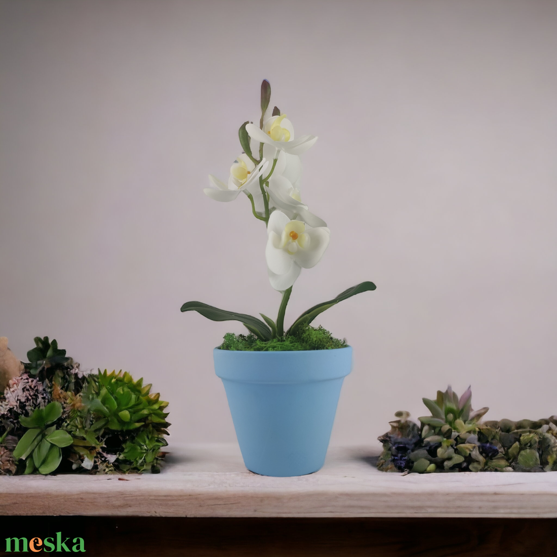 Fehér mini orchidea pasztellszínű agyagkaspóban ORM104FH - otthon & életmód - dekoráció - virágdísz és tartó - csokor & virágdísz - Meska.hu Fehér mini orchidea pasztellszínű agyagkaspóban ORM104FH - otthon & életmód - dekoráció - virágdísz és tartó - csokor & virágdísz - Meska.hu