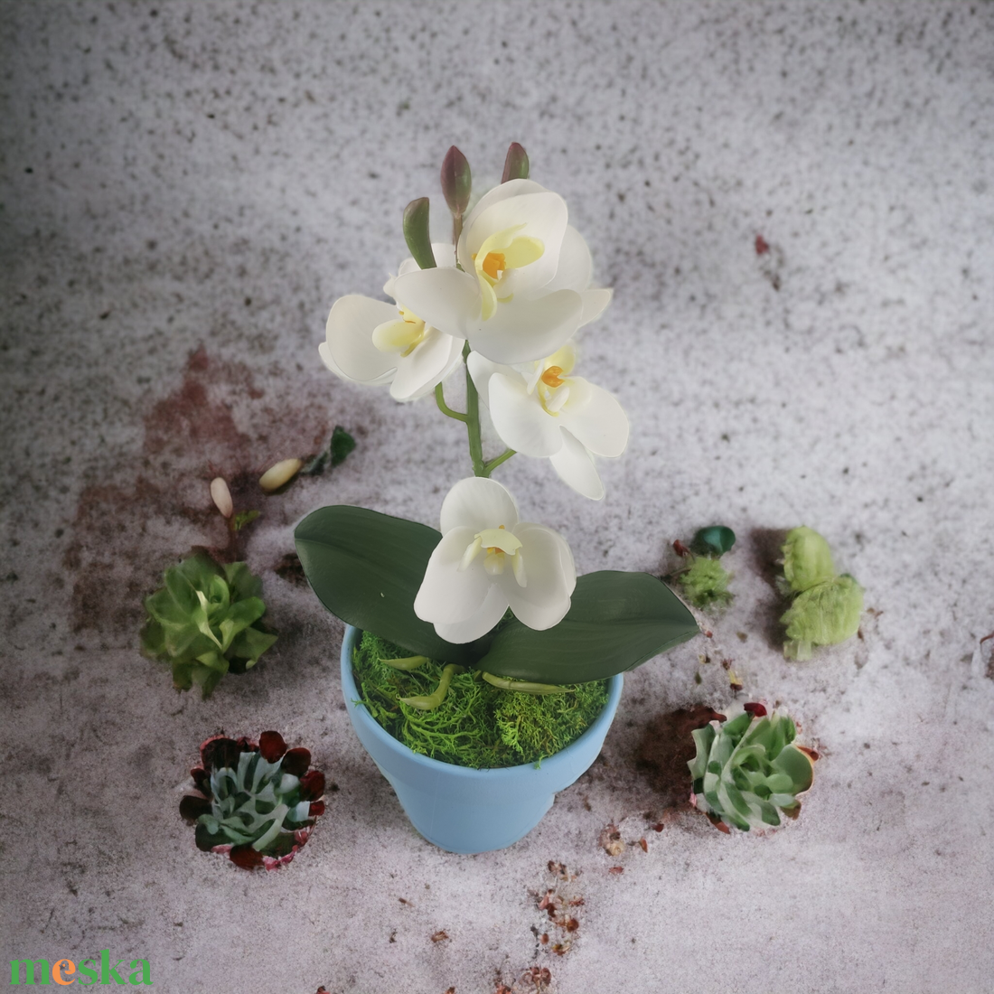 Fehér mini orchidea pasztellszínű agyagkaspóban ORM104FH - otthon & életmód - dekoráció - virágdísz és tartó - csokor & virágdísz - Meska.hu Fehér mini orchidea pasztellszínű agyagkaspóban ORM104FH - otthon & életmód - dekoráció - virágdísz és tartó - csokor & virágdísz - Meska.hu