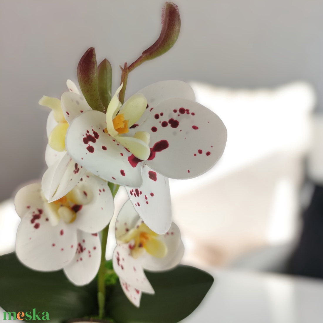 Fehér bordó pöttyös mini orchidea pasztellszínű agyagkaspóban ORM117FHBO - otthon & életmód - dekoráció - virágdísz és tartó - csokor & virágdísz - Meska.hu Fehér bordó pöttyös mini orchidea pasztellszínű agyagkaspóban ORM117FHBO - otthon & életmód - dekoráció - virágdísz és tartó - csokor & virágdísz - Meska.hu