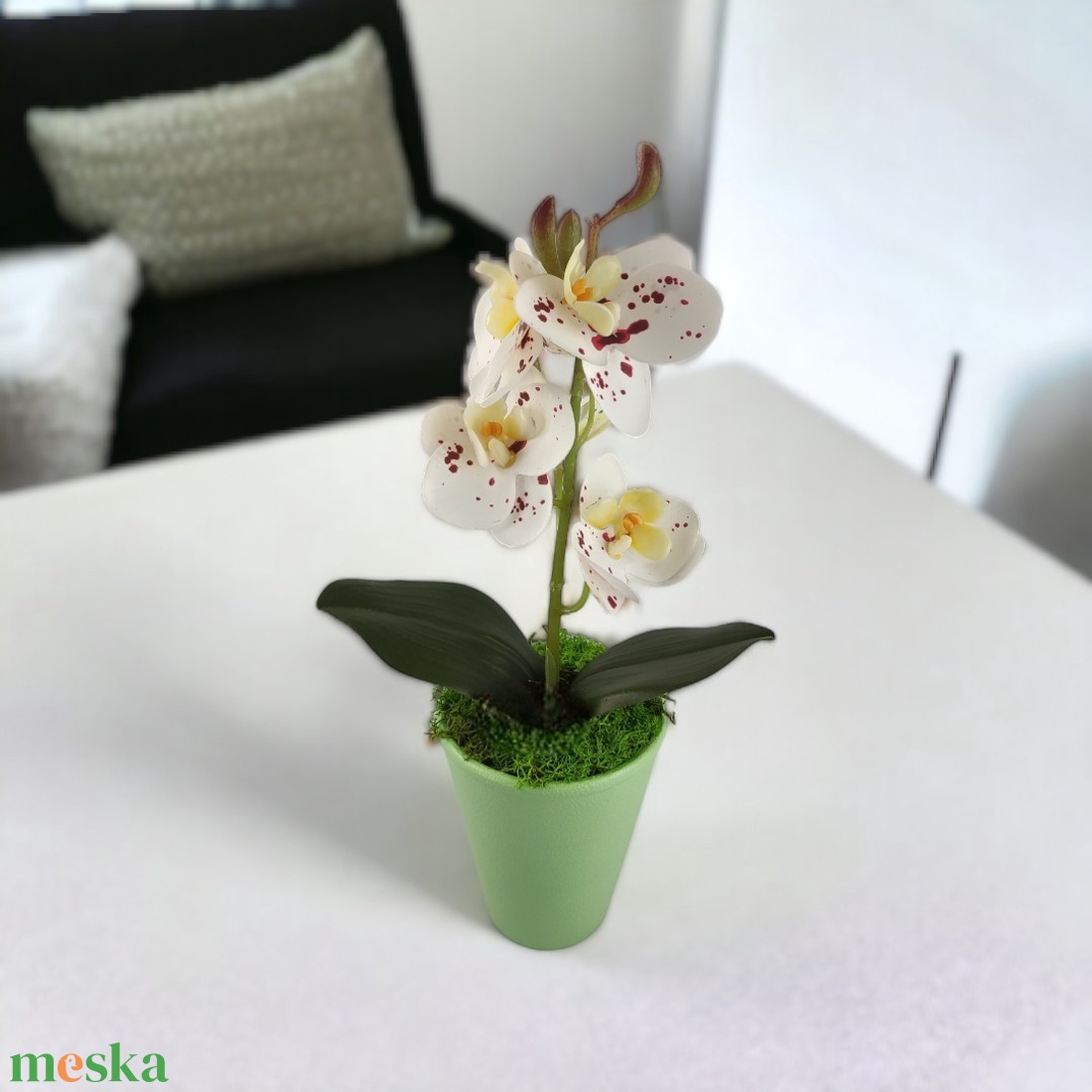 Fehér bordó pöttyös mini orchidea pasztellszínű agyagkaspóban ORM117FHBO - otthon & életmód - dekoráció - virágdísz és tartó - csokor & virágdísz - Meska.hu Fehér bordó pöttyös mini orchidea pasztellszínű agyagkaspóban ORM117FHBO - otthon & életmód - dekoráció - virágdísz és tartó - csokor & virágdísz - Meska.hu