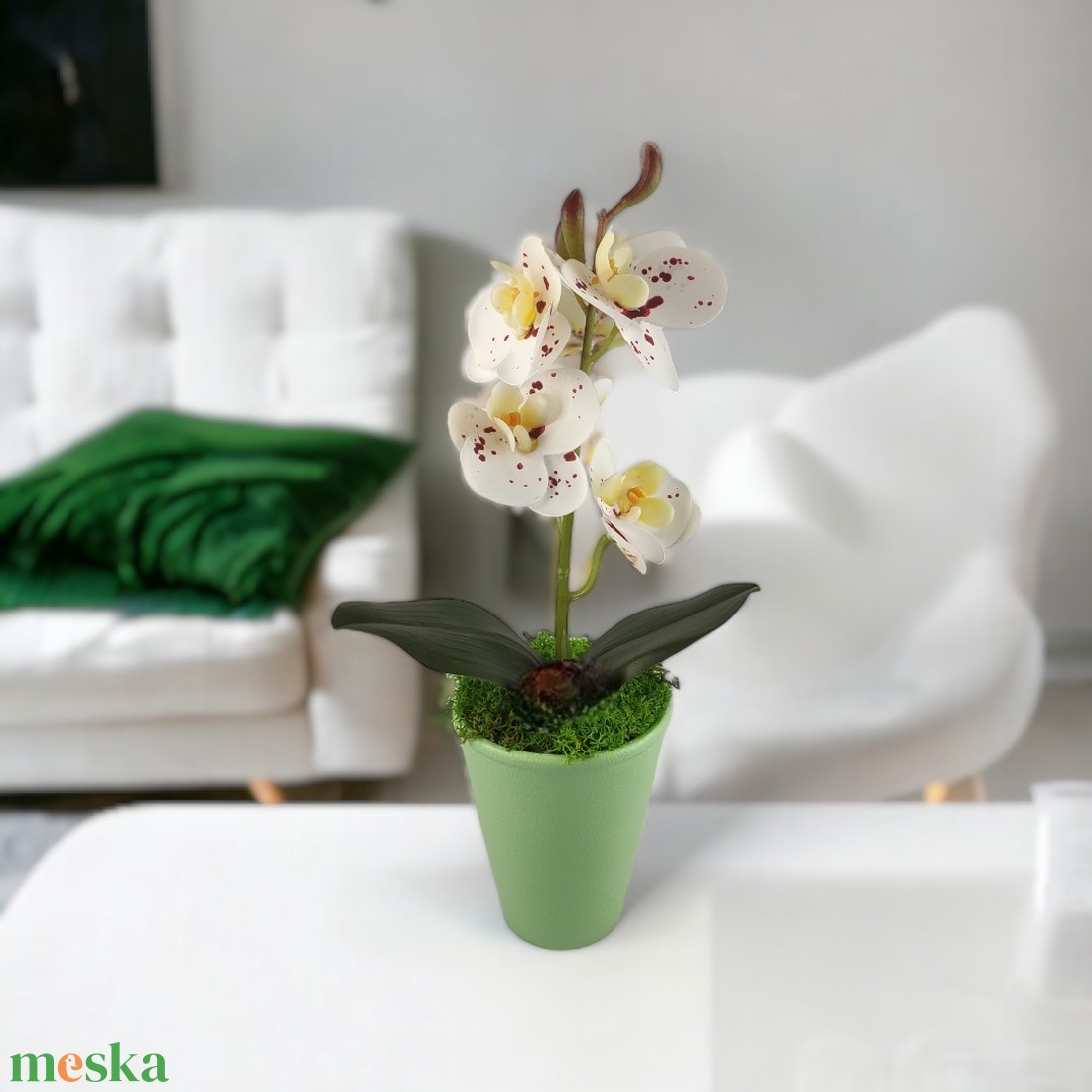 Fehér bordó pöttyös mini orchidea pasztellszínű agyagkaspóban ORM117FHBO - otthon & életmód - dekoráció - virágdísz és tartó - csokor & virágdísz - Meska.hu Fehér bordó pöttyös mini orchidea pasztellszínű agyagkaspóban ORM117FHBO - otthon & életmód - dekoráció - virágdísz és tartó - csokor & virágdísz - Meska.hu