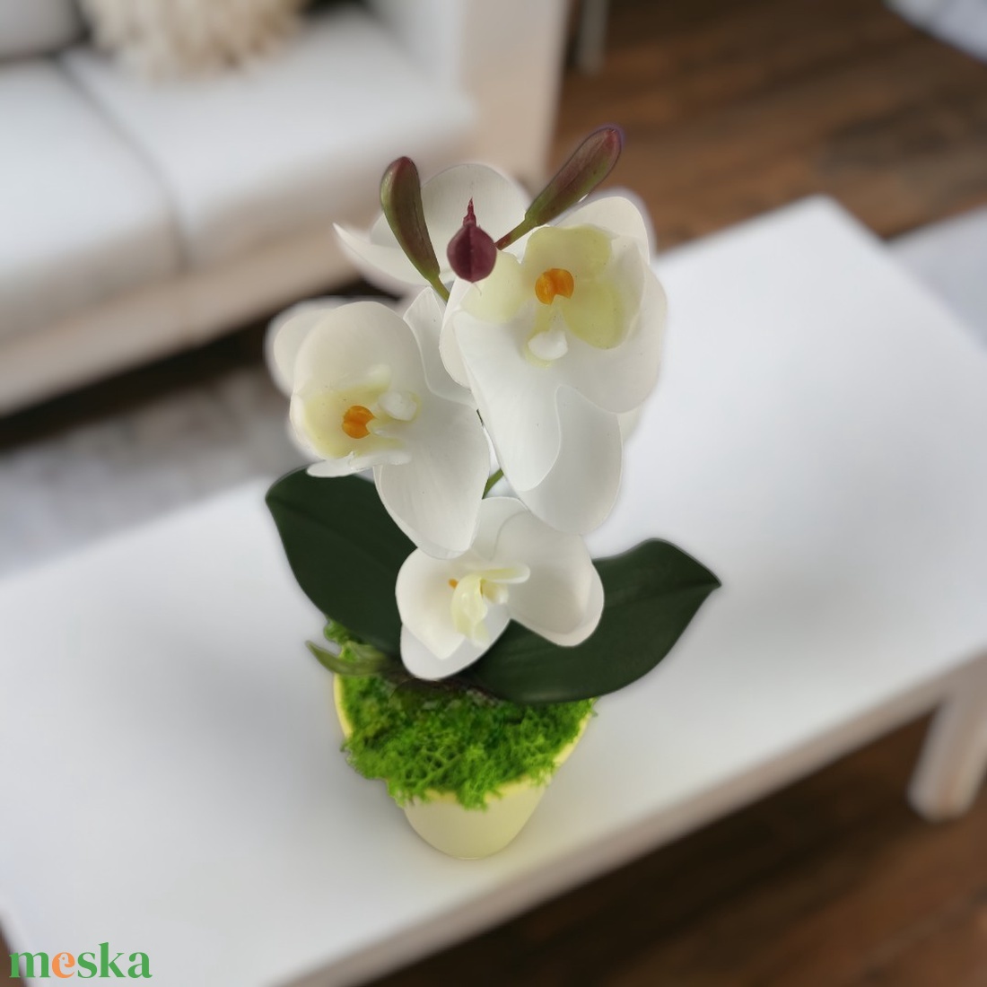 Fehér mini orchidea pasztellszínű agyagkaspóban ORM114FH - otthon & életmód - dekoráció - virágdísz és tartó - csokor & virágdísz - Meska.hu Fehér mini orchidea pasztellszínű agyagkaspóban ORM114FH - otthon & életmód - dekoráció - virágdísz és tartó - csokor & virágdísz - Meska.hu