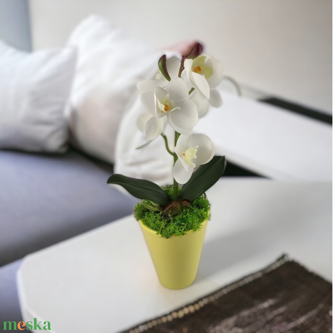 Fehér mini orchidea pasztellszínű agyagkaspóban ORM114FH - otthon & életmód - dekoráció - virágdísz és tartó - csokor & virágdísz - Meska.hu Fehér mini orchidea pasztellszínű agyagkaspóban ORM114FH - otthon & életmód - dekoráció - virágdísz és tartó - csokor & virágdísz - Meska.hu