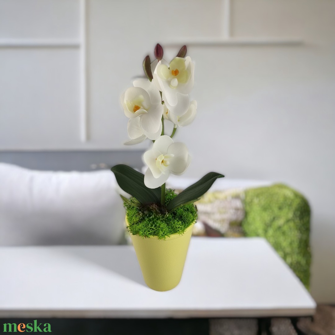 Fehér mini orchidea pasztellszínű agyagkaspóban ORM114FH - otthon & életmód - dekoráció - virágdísz és tartó - csokor & virágdísz - Meska.hu Fehér mini orchidea pasztellszínű agyagkaspóban ORM114FH - otthon & életmód - dekoráció - virágdísz és tartó - csokor & virágdísz - Meska.hu