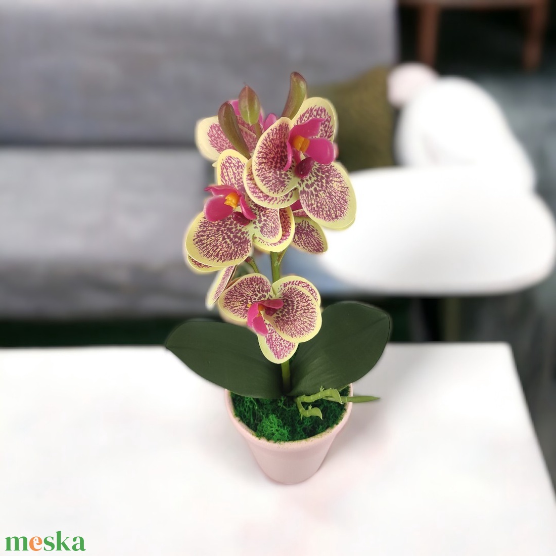 Krémszínű, ciklámen cirmos mini orchidea pasztellszínű agyagkaspóban ORM112KRCI - otthon & életmód - dekoráció - virágdísz és tartó - csokor & virágdísz - Meska.hu Krémszínű, ciklámen cirmos mini orchidea pasztellszínű agyagkaspóban ORM112KRCI - otthon & életmód - dekoráció - virágdísz és tartó - csokor & virágdísz - Meska.hu
