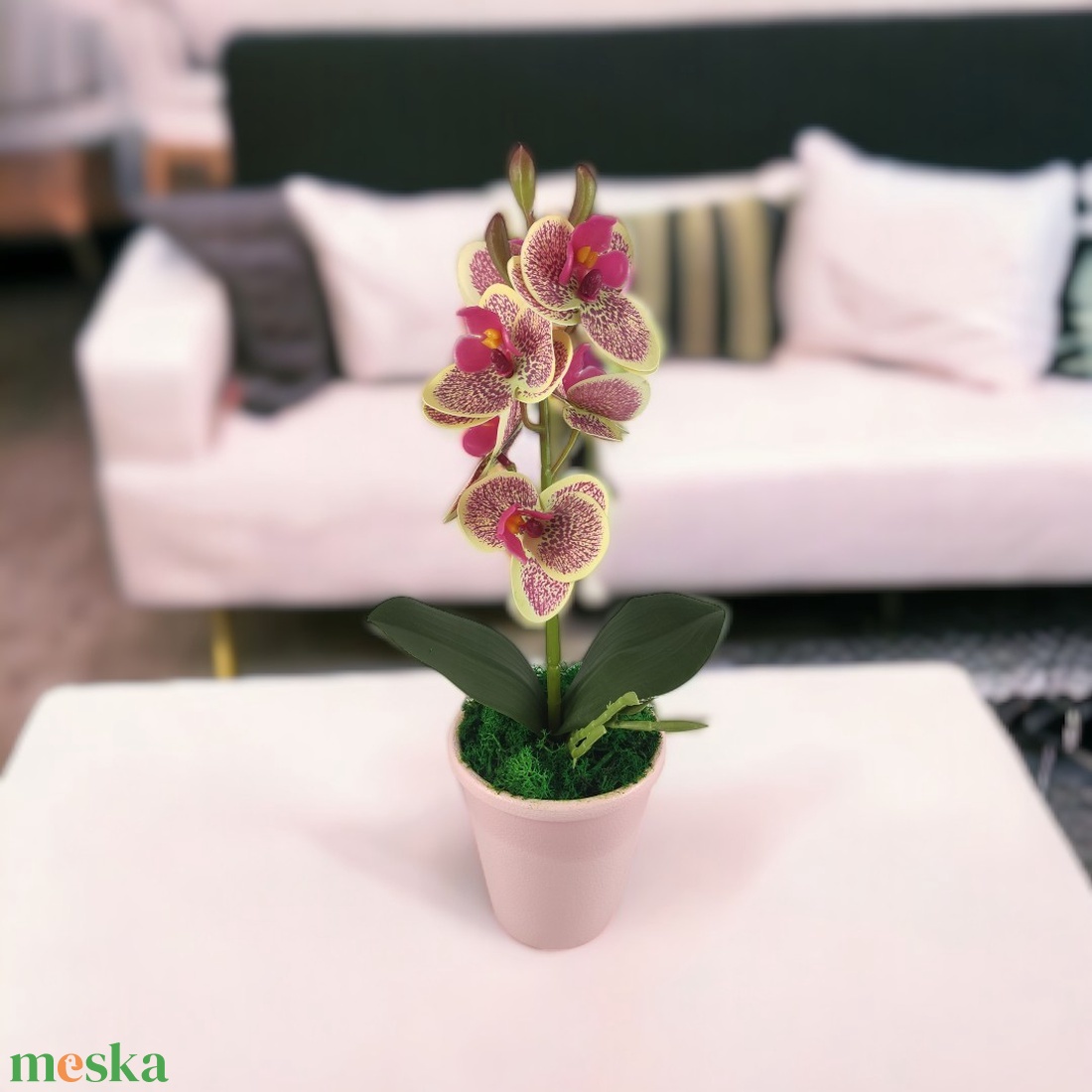 Krémszínű, ciklámen cirmos mini orchidea pasztellszínű agyagkaspóban ORM112KRCI - otthon & életmód - dekoráció - virágdísz és tartó - csokor & virágdísz - Meska.hu Krémszínű, ciklámen cirmos mini orchidea pasztellszínű agyagkaspóban ORM112KRCI - otthon & életmód - dekoráció - virágdísz és tartó - csokor & virágdísz - Meska.hu