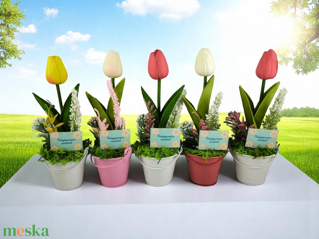 Tulipán színes fémkaspóban pedagógusnapra TUG1FKPN - otthon & életmód - dekoráció - virágdísz és tartó - csokor & virágdísz - Meska.hu Tulipán színes fémkaspóban pedagógusnapra TUG1FKPN - otthon & életmód - dekoráció - virágdísz és tartó - csokor & virágdísz - Meska.hu