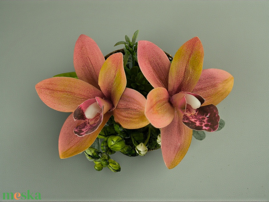 Csónakorchidea Elegancia � Nőnapi Mini Kompozíció - otthon & életmód - virágdekoráció - virágok - virágbox - Meska.hu