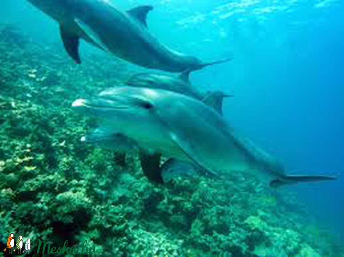 Delfin a korallok közt - piros és fehér korall karkötő - ékszer - karkötő - bogyós karkötő - Meska.hu