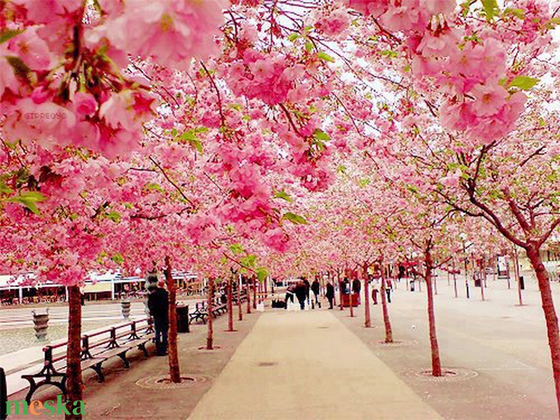 Sakura - rózsakvarc karkötő - ékszer - karkötő - ásványkarkötő - Meska.hu Sakura - rózsakvarc karkötő - ékszer - karkötő - ásványkarkötő - Meska.hu