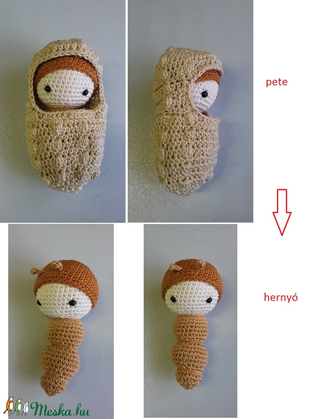Egy éjjeli lepke élete: pete-hernyó-báb-lepke -  - Meska.hu
