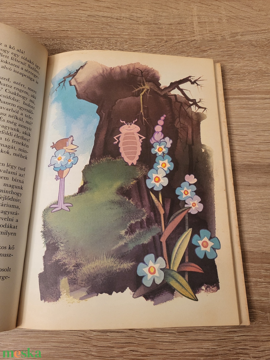 Bálint Ágnes: Micsoda pók a vízipók! - könyv & zene - könyv - Meska.hu