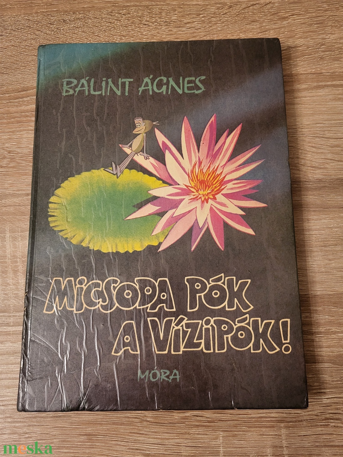 Bálint Ágnes: Micsoda pók a vízipók! - könyv & zene - könyv - Meska.hu