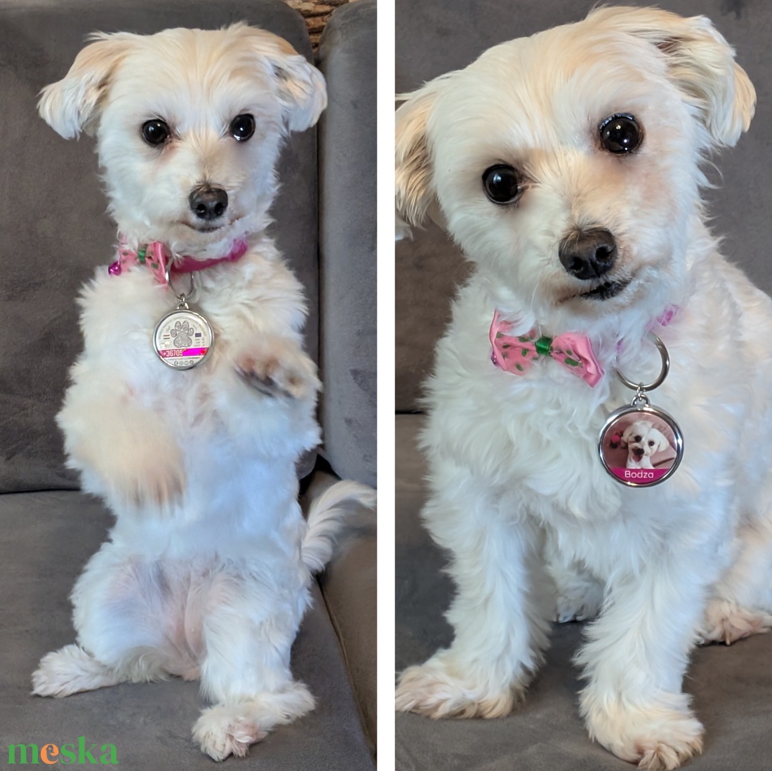 Egyedi kisállat biléta - otthon & életmód - kisállatoknak - kutyáknak - kutya biléta - Meska.hu