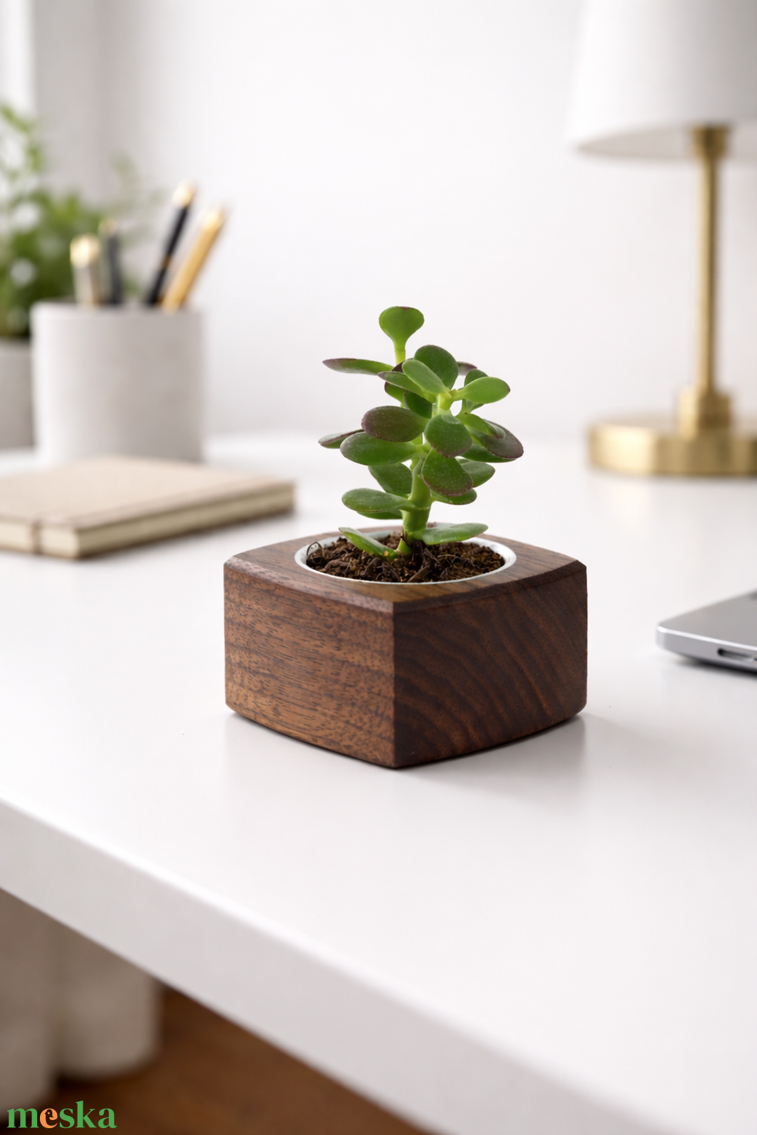 Mini növénytartó - otthon & életmód - virágdekoráció - virágdíszek - asztali virágdísz - Meska.hu