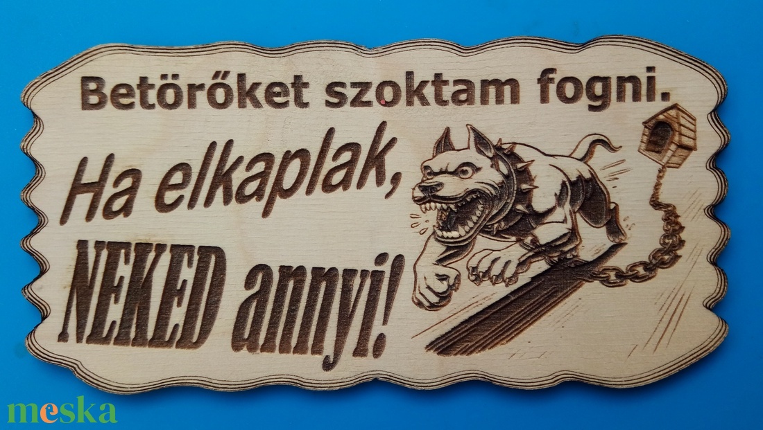 Humoros(nak szánt) kutyatábla. Neked annyi.... Vigyázz a kutya harap helyett.  - otthon & életmód - dekoráció - kép & falikép - táblakép - Meska.hu