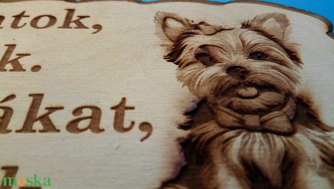 Humoros(nak szánt) kutyatábla. Pattogó kutyus.  Vigyázz a kutya harap helyett.  - otthon & életmód - dekoráció - kép & falikép - táblakép - Meska.hu