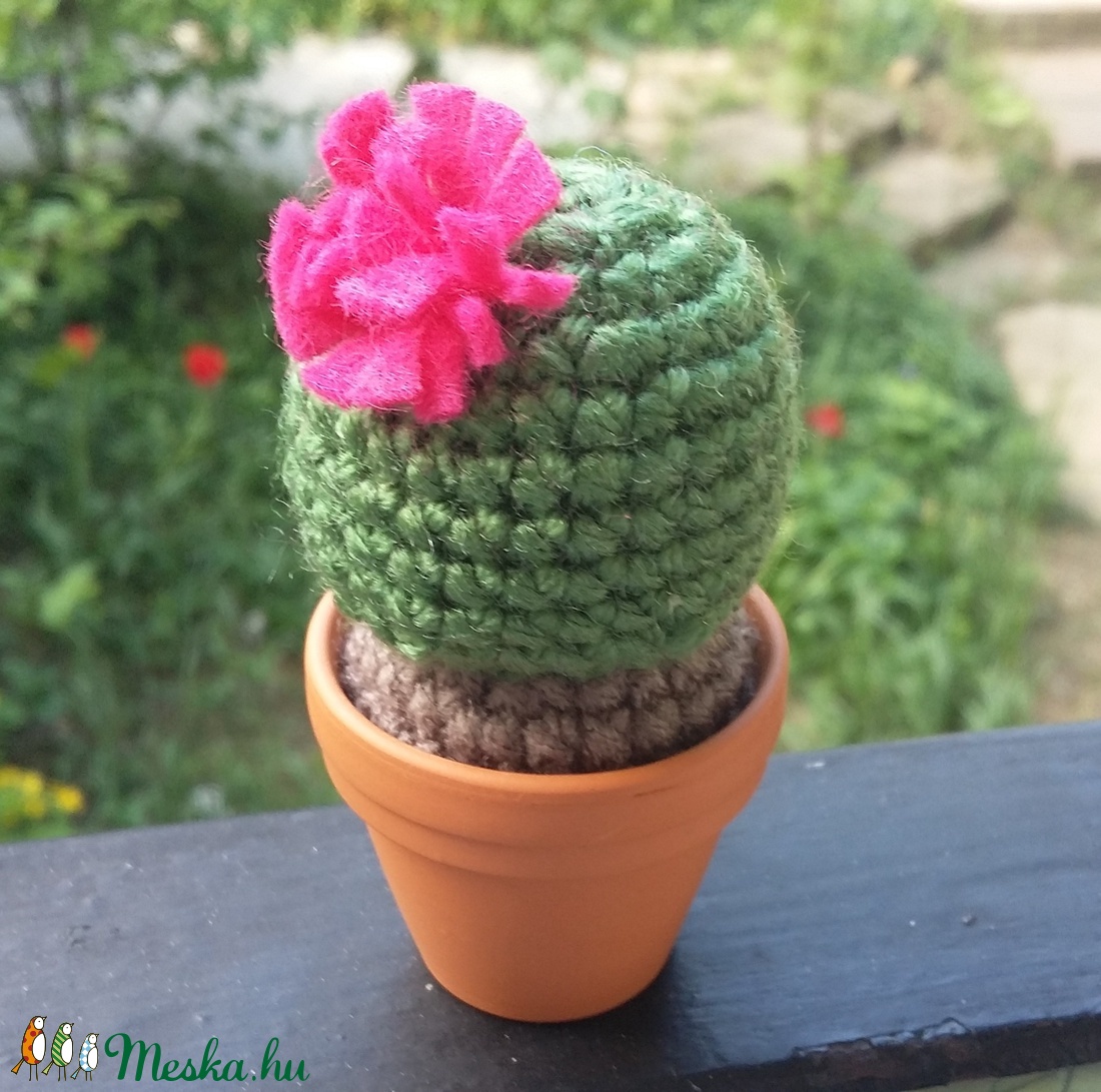 Kaktusz -  - Meska.hu
