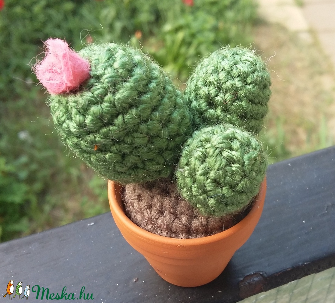 Kaktusz -  - Meska.hu