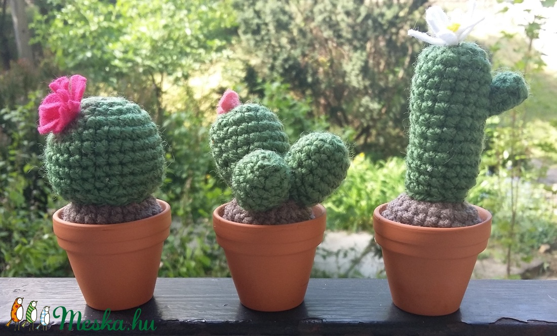 Kaktusz -  - Meska.hu