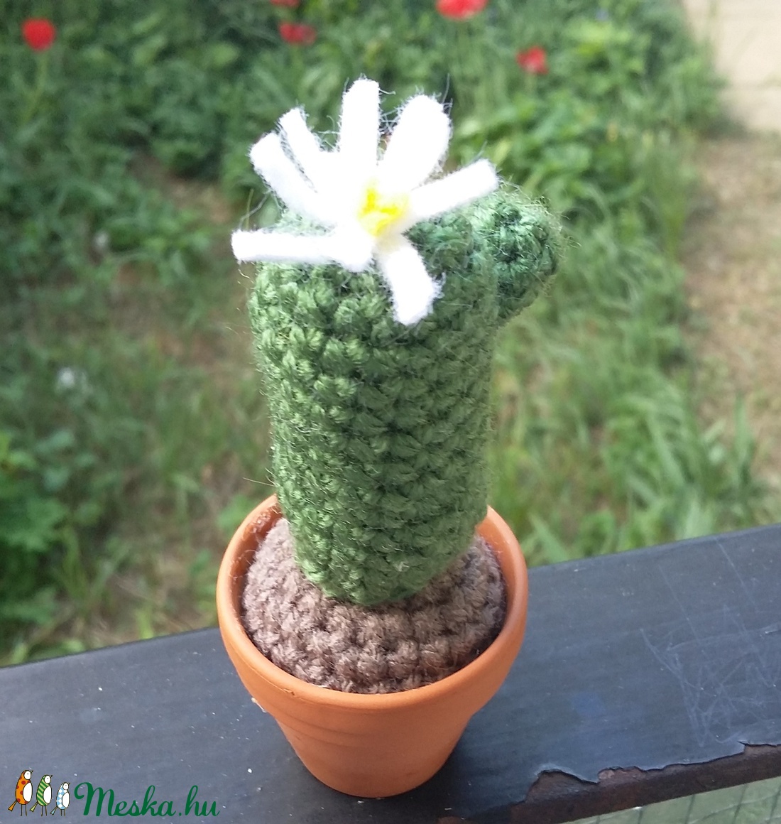 Kaktusz -  - Meska.hu