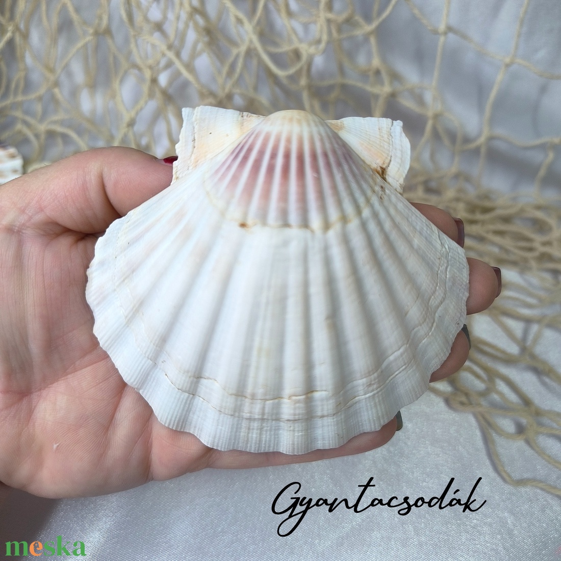 ÉKSZERTARTÓ - VALÓDI ÓRIÁSKAGYLÓ GYŰRŰTARTÓ - TÜRKIZ, TEKNŐSSEL - GYANTACSODÁK - otthon & életmód - dekoráció - asztal és polc dekoráció - asztaldísz - Meska.hu