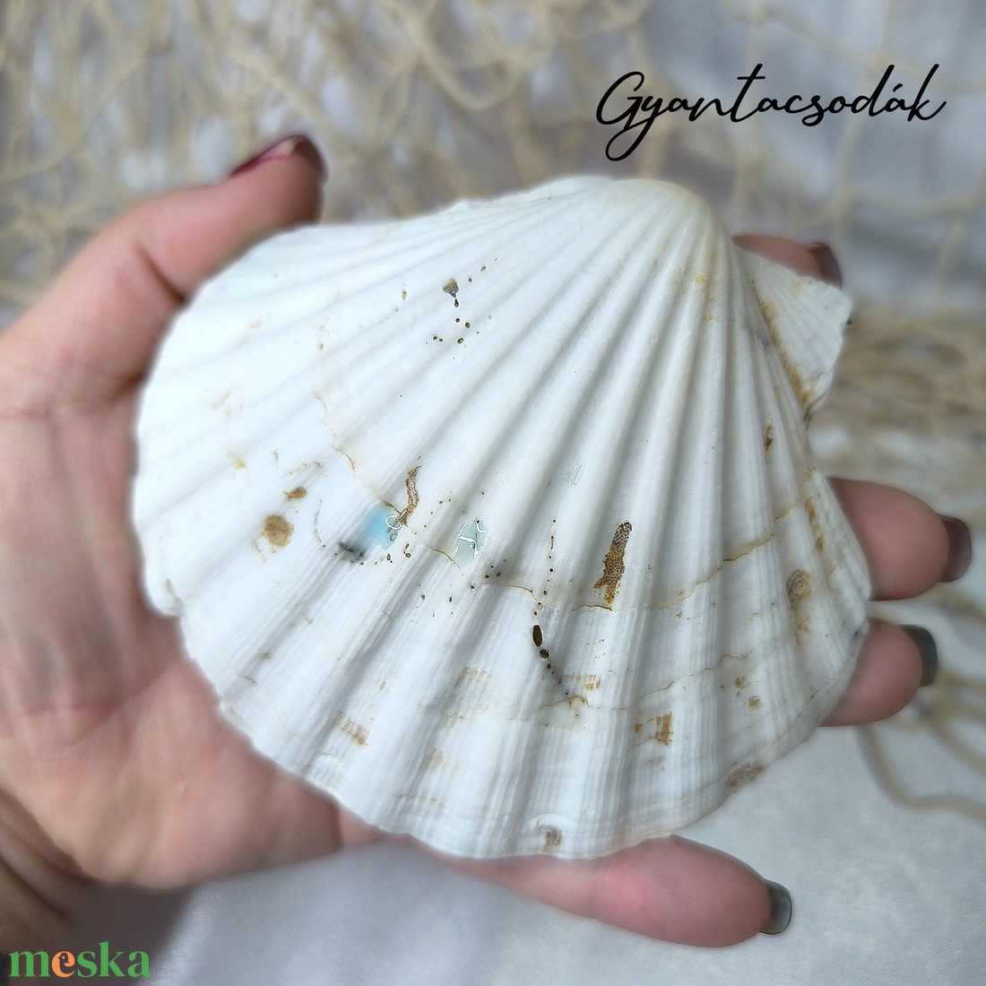 ÉKSZERTARTÓ - VALÓDI ÓRIÁSKAGYLÓ GYŰRŰTARTÓ - TÜRKIZ, TEKNŐSSEL 2 - GYANTACSODÁK - otthon & életmód - dekoráció - asztal és polc dekoráció - asztaldísz - Meska.hu