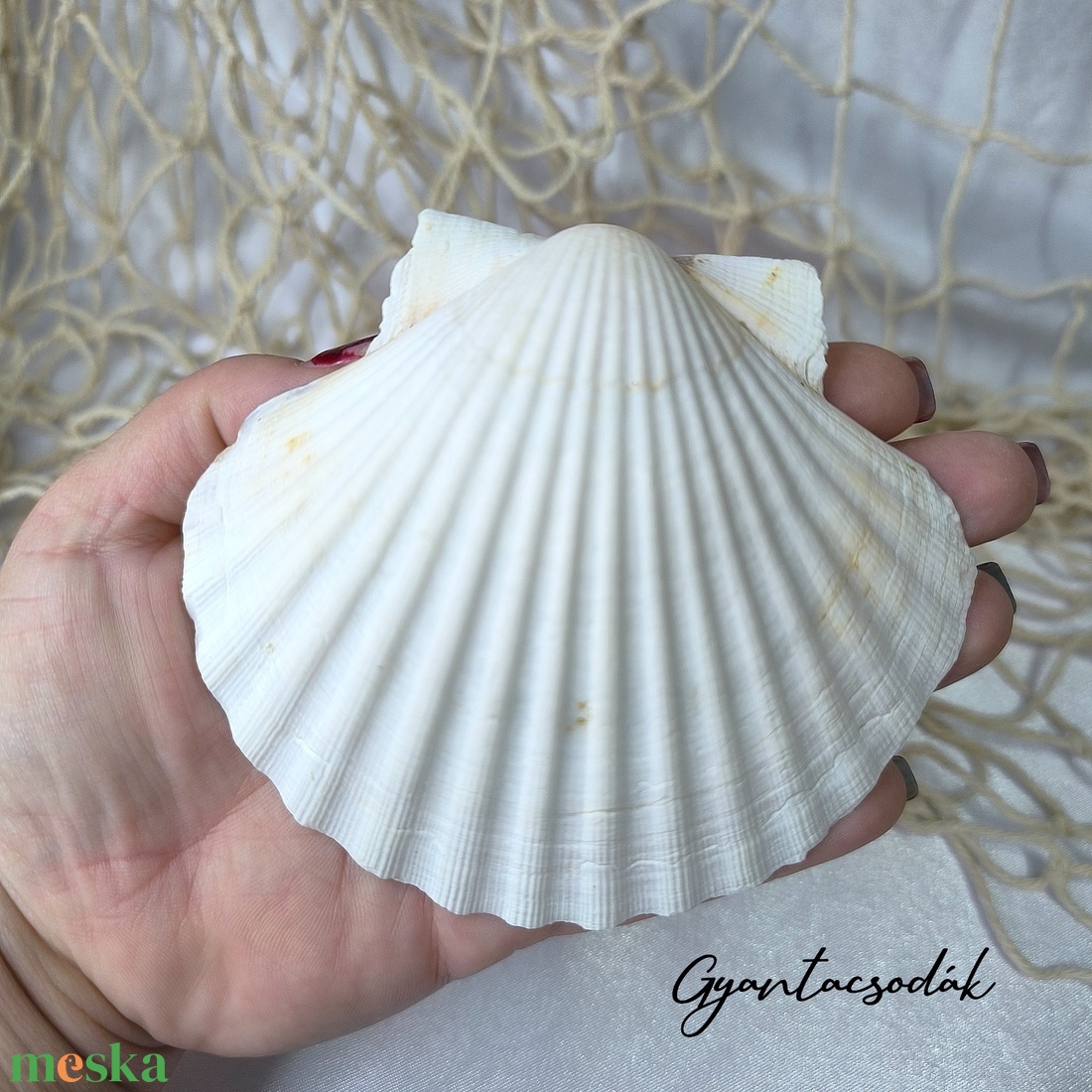 ÉKSZERTARTÓ BALATON MINTÁVAL - VALÓDI ÓRIÁSKAGYLÓ GYŰRŰTARTÓ - GYANTACSODÁK - otthon & életmód - dekoráció - asztal és polc dekoráció - asztaldísz - Meska.hu