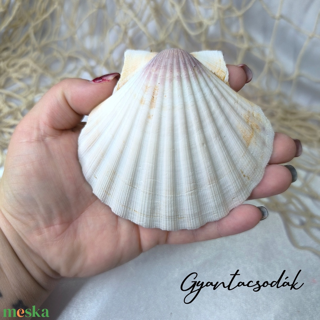 ÉKSZERTARTÓ BALATON MINTÁVAL - VALÓDI ÓRIÁSKAGYLÓ GYŰRŰTARTÓ 2 - GYANTACSODÁK - otthon & életmód - dekoráció - asztal és polc dekoráció - asztaldísz - Meska.hu