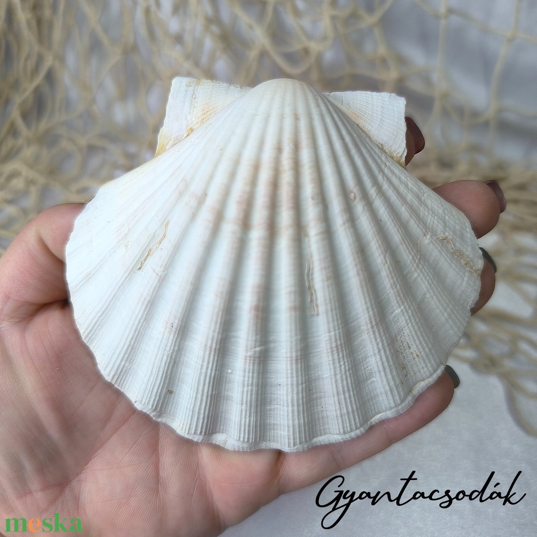 ÉKSZERTARTÓ BALATON MINTÁVAL - VALÓDI ÓRIÁSKAGYLÓ GYŰRŰTARTÓ 3 - GYANTACSODÁK - otthon & életmód - dekoráció - asztal és polc dekoráció - asztaldísz - Meska.hu