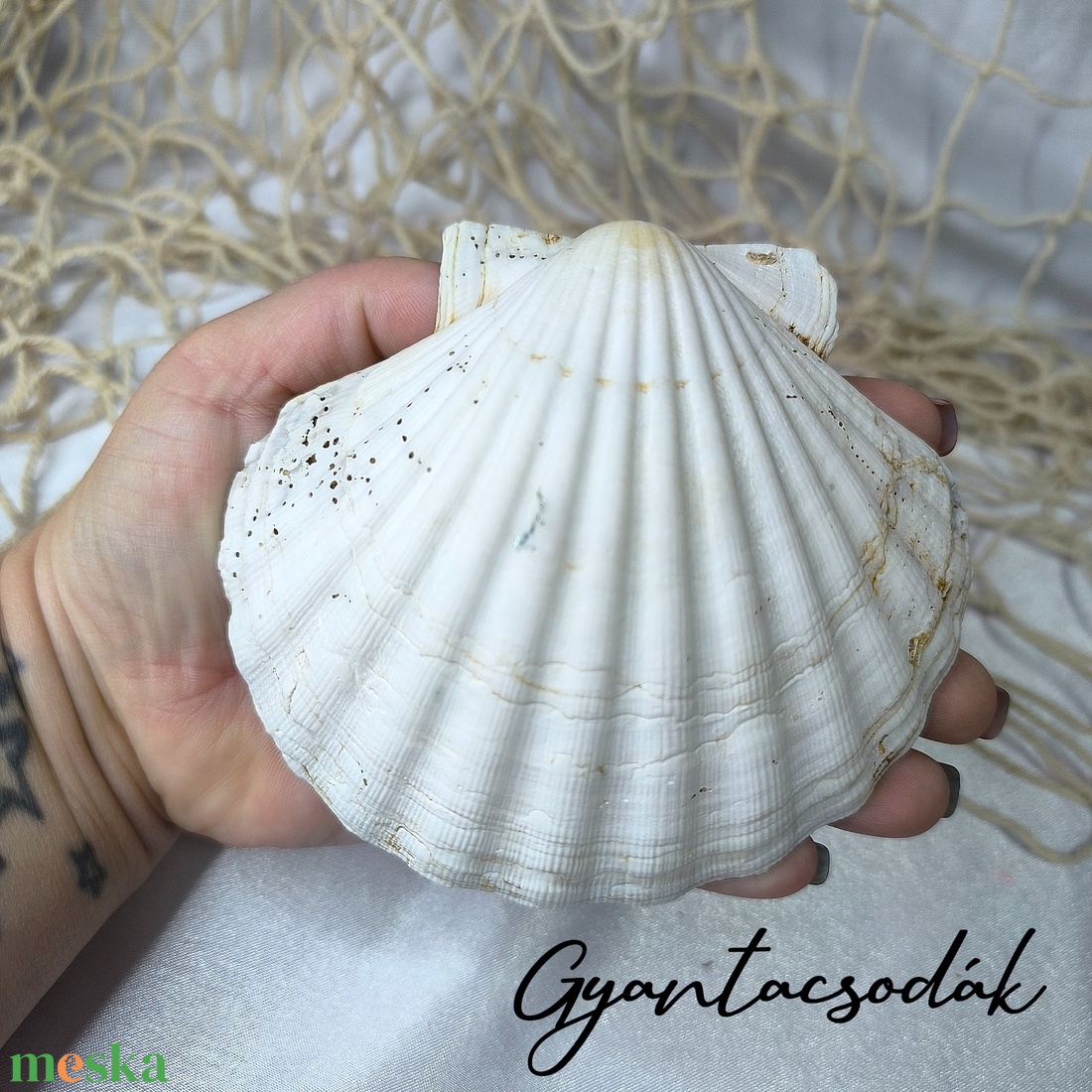 ÉKSZERTARTÓ FEHÉR PLUMERIA VIRÁGGAL - VALÓDI ÓRIÁSKAGYLÓ GYŰRŰTARTÓ - GYANTACSODÁK - otthon & életmód - dekoráció - asztal és polc dekoráció - asztaldísz - Meska.hu