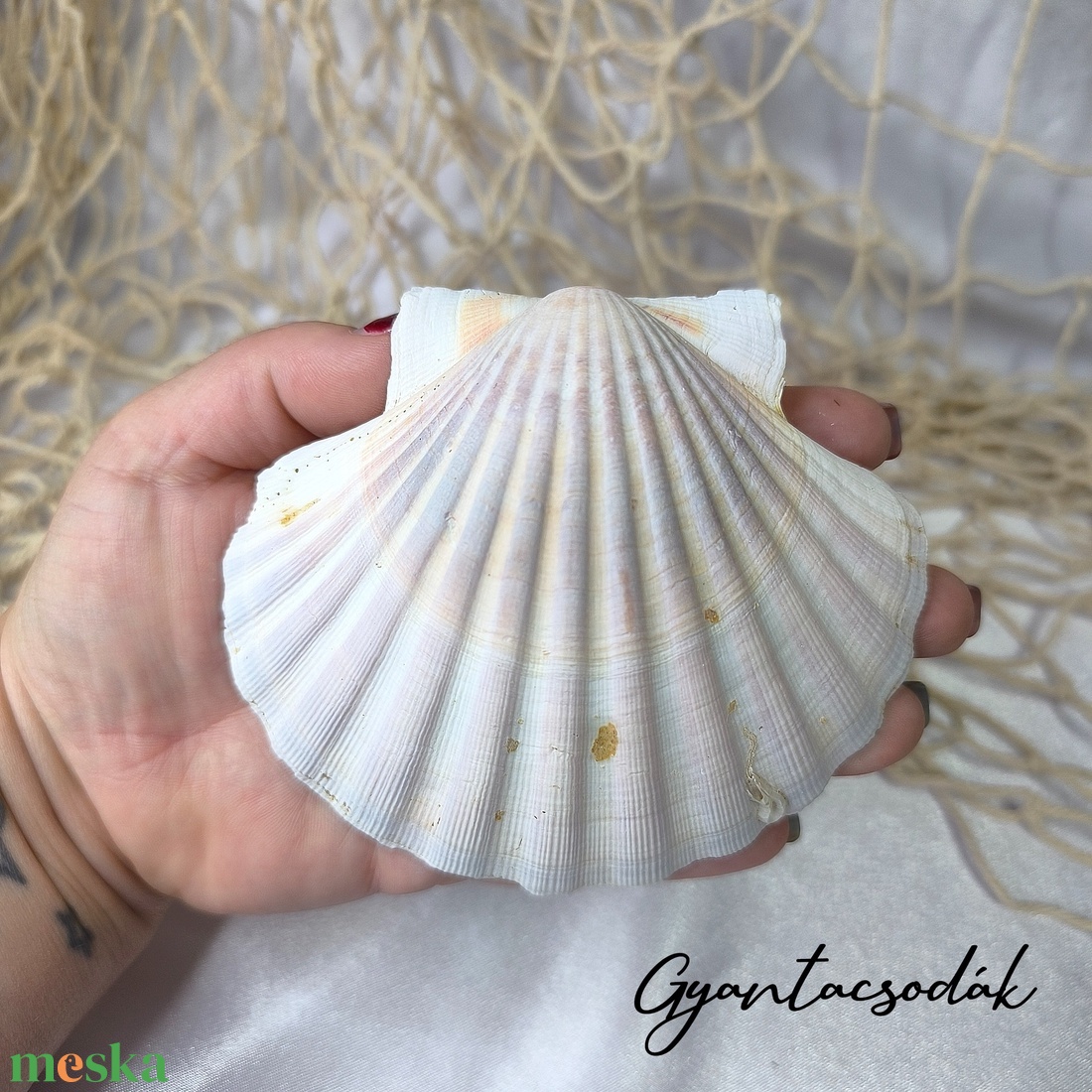 ÉKSZERTARTÓ RÓZSASZÍN PLUMERIA VIRÁGGAL - VALÓDI ÓRIÁSKAGYLÓ GYŰRŰTARTÓ - GYANTACSODÁK - otthon & életmód - dekoráció - asztal és polc dekoráció - asztaldísz - Meska.hu