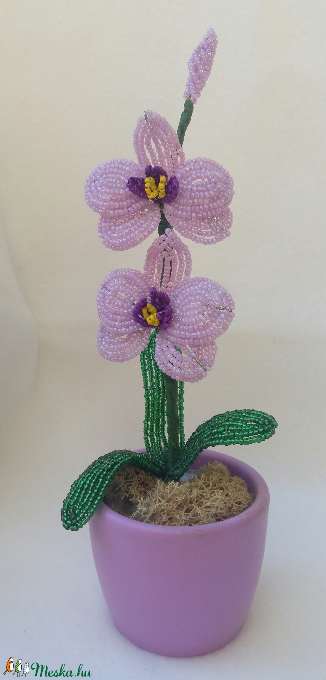 Lepke orchidea - - Meska.hu Lepke orchidea - - Meska.hu