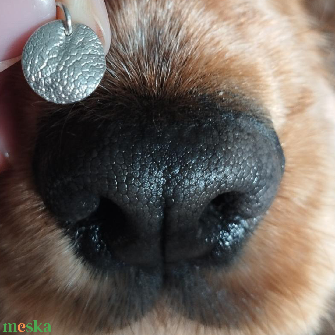 3 db kutyanózi medál  - ékszer - ékszerszett - Meska.hu