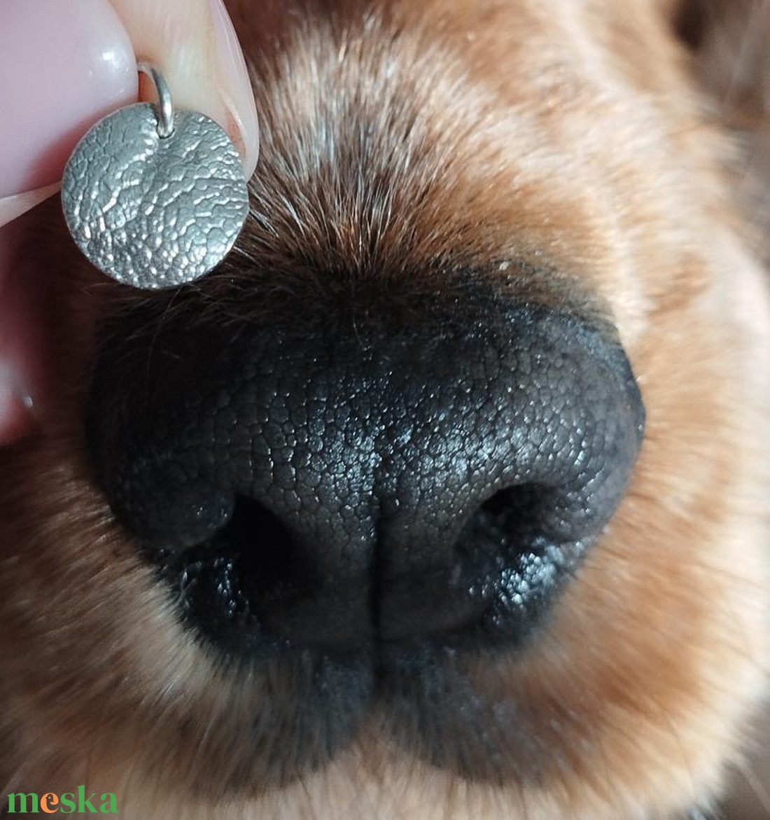 TAPIKA karácsonyi dobozos mintavevő kutya, cica, vagy ujjlenyomatos medálhoz, vagy karkötőhöz - diy (csináld magad) - egységcsomag - Meska.hu