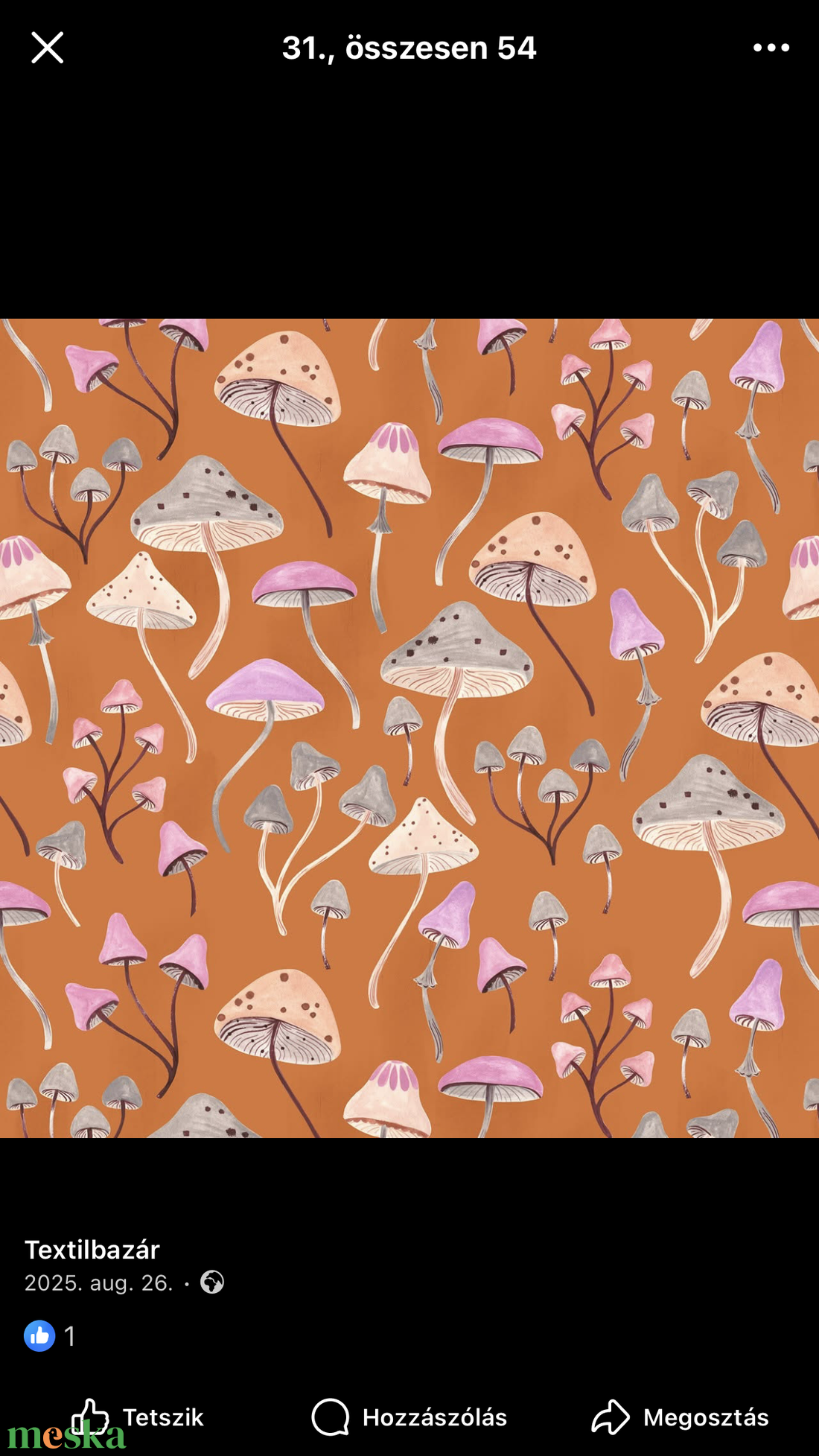 m u s h r o o m s. Könyvtasak/védőtok könyveknek, e-booknak, tabletnek  - táska & tok - ebook & tablet tok - Meska.hu