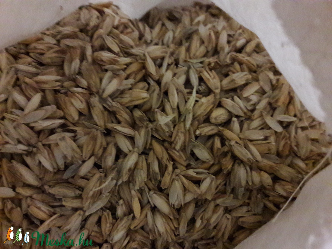 Tönkölypelyva párna. - otthon & életmód - lakástextil - ágynemű - Meska.hu