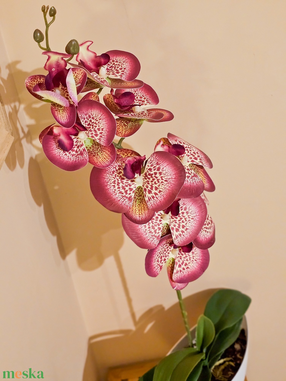 Orchidea -gondozásmentes  - otthon & életmód - virágdekoráció - virágdíszek - virágdísz kaspóban - Meska.hu