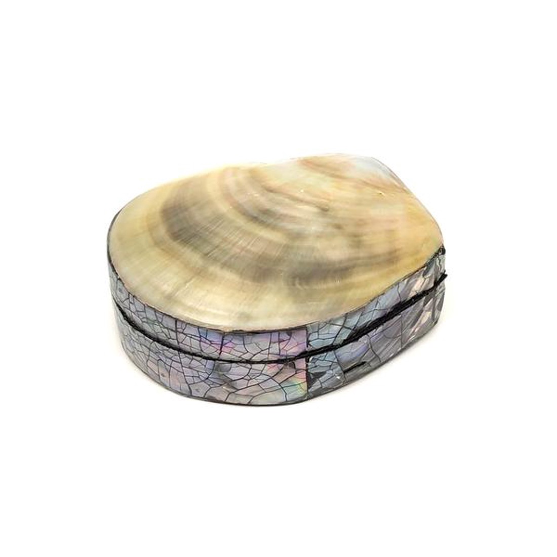 Sárga-szürke kagyló ékszertartó doboz modern stílusú díszdoboz 87 cm - ékszer - ékszertartó - ékszerdoboz - Meska.hu Sárga-szürke kagyló ékszertartó doboz modern stílusú díszdoboz 87 cm - ékszer - ékszertartó - ékszerdoboz - Meska.hu