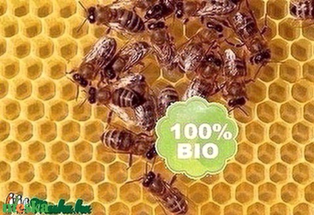 MÉHVIASZ 100 GR - kellékek & szerszámok - vegyes alapanyag - Meska.hu