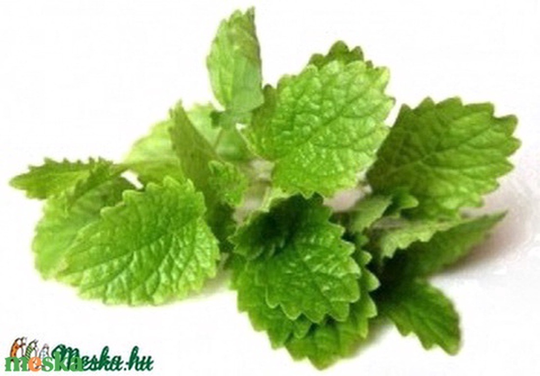 CITROMFŰ 100 % tisztaságú illóolaj 10 ml - kellékek & szerszámok - vegyes alapanyag - olaj - Meska.hu CITROMFŰ 100 % tisztaságú illóolaj 10 ml - kellékek & szerszámok - vegyes alapanyag - olaj - Meska.hu