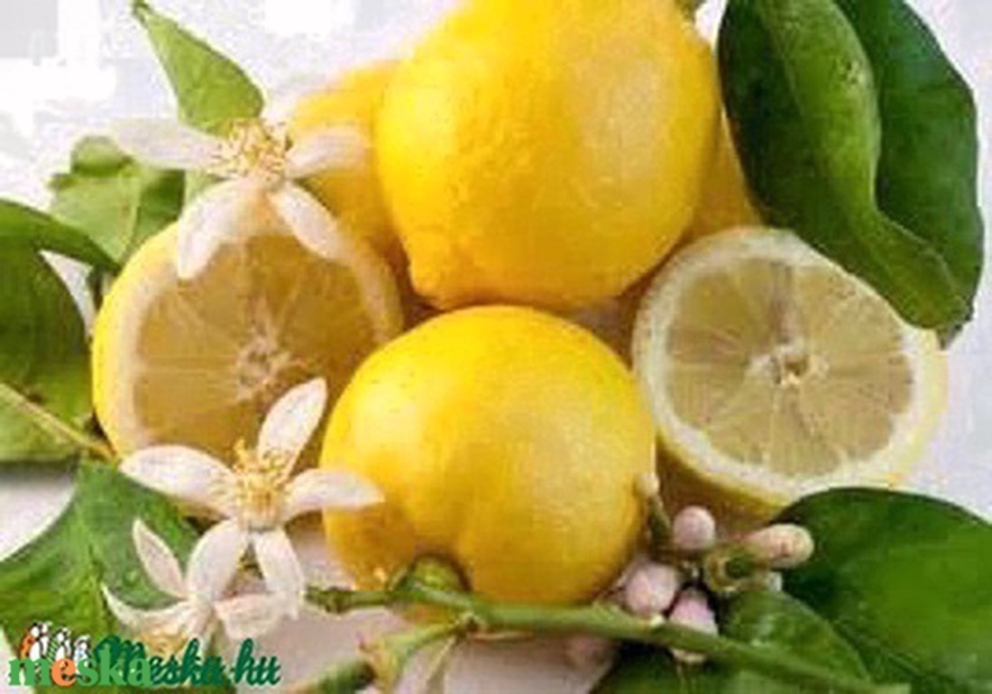 CITRUS 100 % tisztaságú illóolaj 10 ml - kellékek & szerszámok - vegyes alapanyag - olaj - Meska.hu CITRUS 100 % tisztaságú illóolaj 10 ml - kellékek & szerszámok - vegyes alapanyag - olaj - Meska.hu