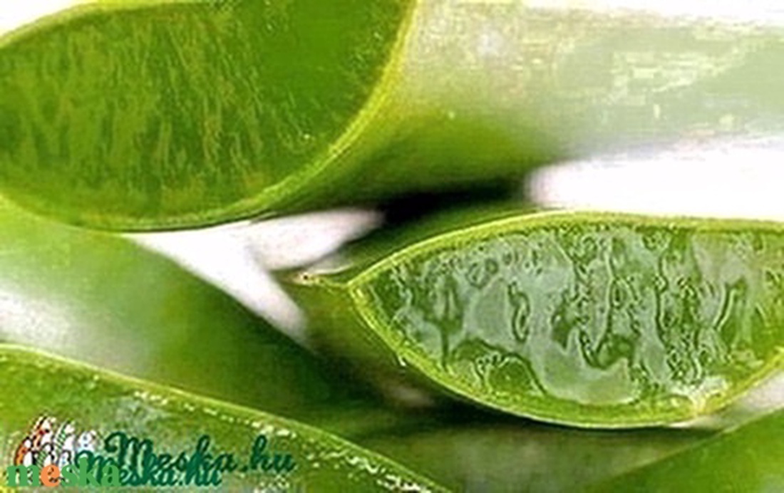 ALOE VERA GÉL 100 ml - kellékek & szerszámok - kozmetikai alapanyag - Meska.hu ALOE VERA GÉL 100 ml - kellékek & szerszámok - kozmetikai alapanyag - Meska.hu